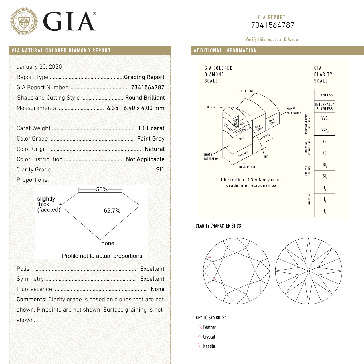 1.01ct 6.35x6.40x4.00mm GIA SI1 Silver Round Brilliant 18322-01 - Misfit Diamonds